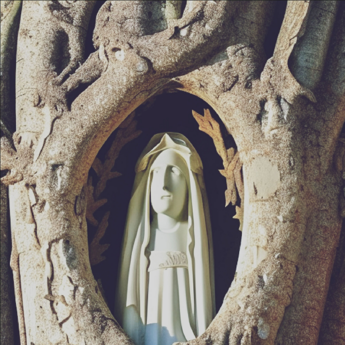 Image - audio-1.jpg